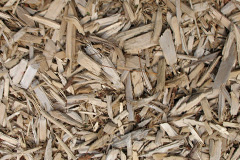 biomass boilers Neacroft